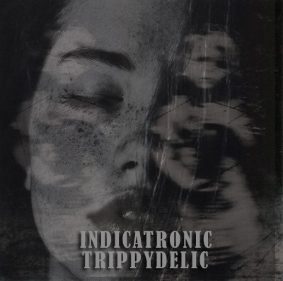 Indicatronic - Trippydelic
